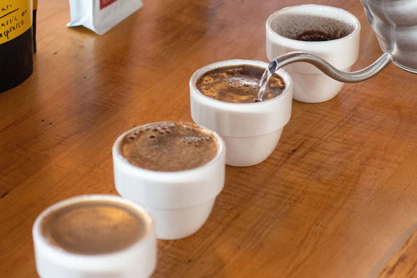 Cupping - Barista och Espresso