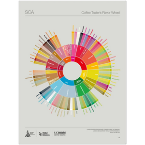 Smagsdiagram for kaffesmageren - SCA ESPRESSO Udstyr