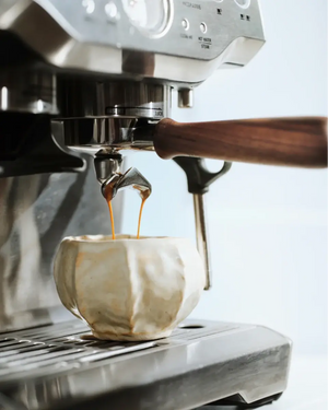 Portafilter til Sage Barista Serien (54 mm) - Barista og Espresso